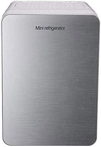 Auto Kühlschrank, Kühlbox, Wärmer Kühler 2 Modi, Dual Voltage Auto Kühler Wärmer 12V-24V DC, für Auto und Heim, 10L (Farbe: Silber)