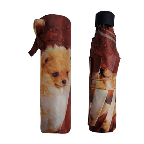 Pealra Chihuahua And Spitz Super Mini Umbrella #TOP2