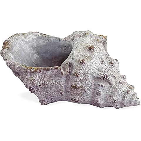 matches21 Planter shell optic maritime cement grey plant pot planter 1 pc - 19x12,5x9,5 cm Cover