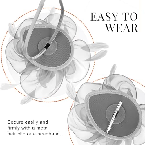 Image of DRESHOW Fascinators Hat Tea Party Headwear Ribbons Feathers on a Headband and a Clip for Women