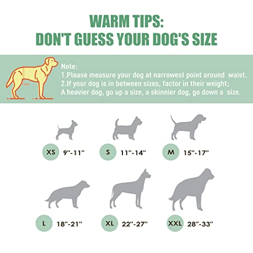 Image of wegreeco Washable Male Dog Diapers (Pack of 3) - Washable Male Dog Belly Wrap (Vast Sky, XS)