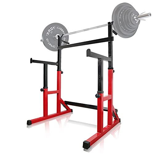 ER KANG Multi-Function Barbell Rack, 600LBS Capacity Fitness Adjustable Dip Stand Squat Rack Dipping Station for Weight Lifting, Bench Press, Squat, Home Gym-2021 Upgraded