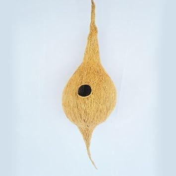 NatureLoc Hanging Coir Bird's Nest (Wooden, Medium)
