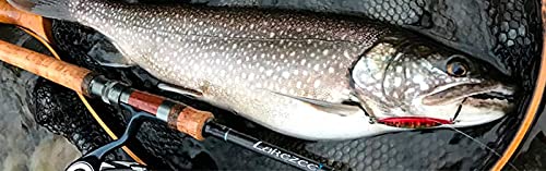 パームス(Palms) レイクジー LSZS-990 SS 4枚目