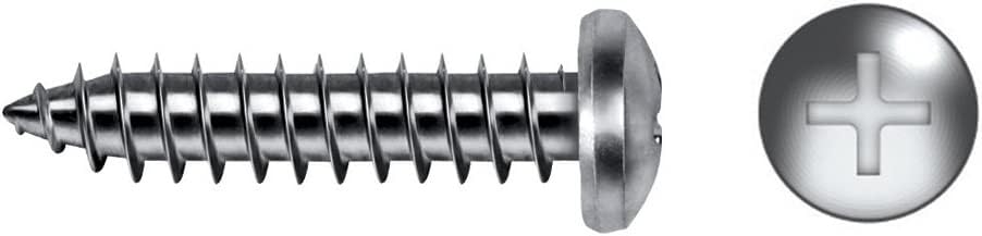 Tornillo R Chapa DIN 7981 Zinc 5,5x38mm C 500 (500 Piezas)