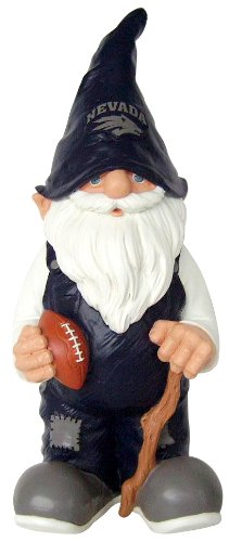 FOCO Nevada 2008 Team Gnome