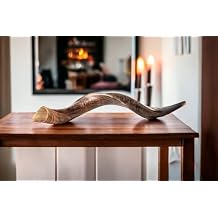 Extra Large Yemenite Shofar 40"-42" | Authentic Kudu Horn | Natural Finish | Includes Anti-Odor Spray & Bag | Kosher Tested | Yaliland