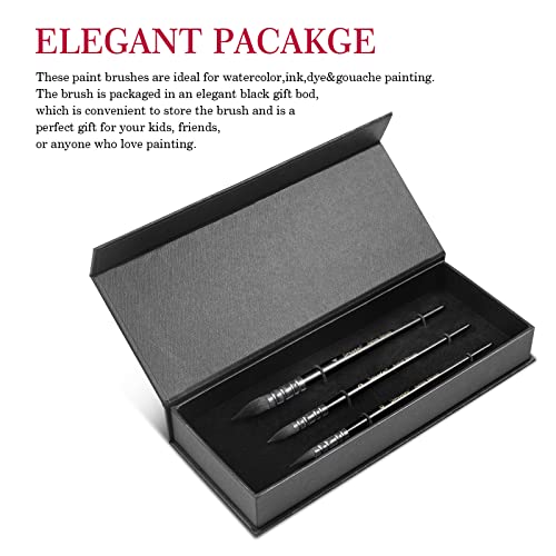 Watercolor Paint Brushes, Mop Round Squirrel Hair Paint Brush Set For Art Painting, Gouache, Fine Detailing, Acrylic, Oil, Artist Quality Supplies(Black #TOP4