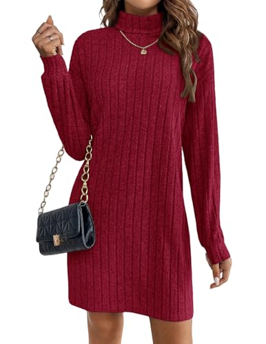Zeagoo Pulloverkleid Damen Strickkleid Langarm Rollkragenkleid Winterkleid Modisch Elegant Bequemes Rippstrick Kleid Figurbetont Herbst Outfit Alltag...