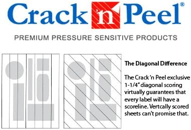 4" X 3 1/3" Labels - 6 Labels Per Sheet (100 Sheets -600 Labels)