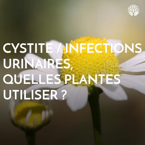 Page de couverture de Cystite / infections urinaires : quelles plantes utiliser ?