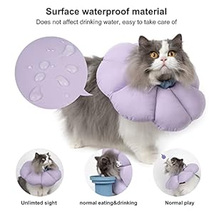 Cat Cone Collarcute Waterproof Cat Recovery Collarantibite Lick Wound Healing Safety Elizabethan E Collar for Catspurple Flower Allseason Style Cucciolini Doodles Cat cone collarcute waterproof cat recovery collaranti bite lick wound healing safety elizabethan e collar for catspurple flower all season style cucciolini doodles