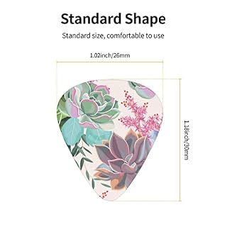 Ensemble de 12 médiators de guitare succulents colorés pour guitare acoustique, guitare électrique, contrebasse, ukulélé - Les Beatles, Paul McCartney, John Lennon, RIngo Starr, George Harrison Ensemble de 12 médiators de guitare succulents colorés pour guitare acoustique, guitare électrique, contrebasse, ukulélé – Image 4