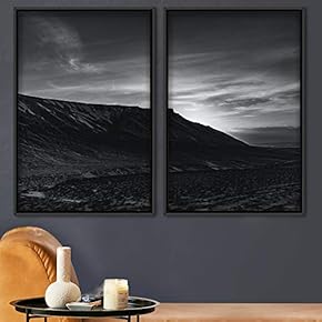 signwin 2 Piece Framed Canvas Wall Art Monochromatic...
