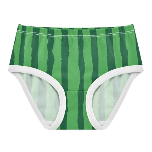 Panties Daily Wear Panties Breathable Underwear for Girls in Sizes 2T,3T, 4T, 5T, 6Y and 8Y