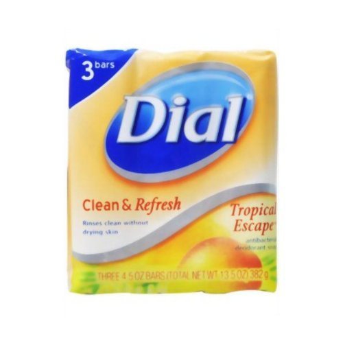 Dial Tropical Escape Deodorant Soap