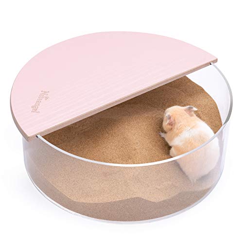Can Hamsters Have Sand In Their Cage? (Safe + Unsafe Sand)