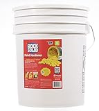Xsorb Rock Solid Paint Hardener/Solidifier (5 Gallon Pail) Powder for drying waste or leftover acrylic/latex paint, absorbs up to 31 gallons