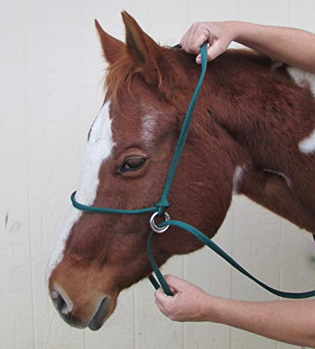 Halter-All Extra Small *Pattern* Miniature Foal Mini Endless Adjustable Halter & Lead Usa (Horse Halter) (Unicorn) #TOP5