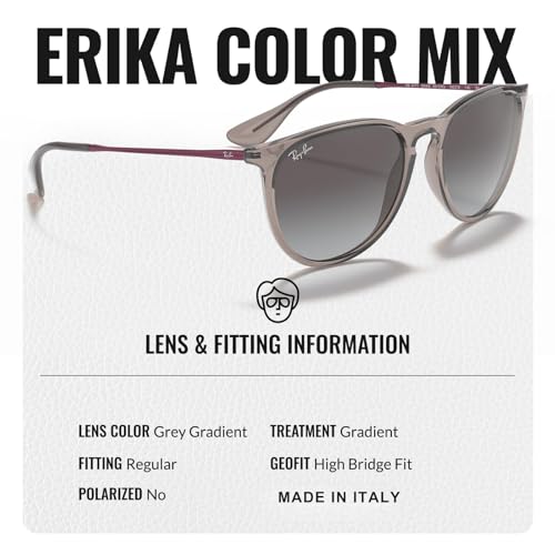 Image of Ray-Ban RB4171 ERIKA COLOR MIX Phantos Shaped Sunglasses for Women with Official RAYBAN Eyewear Kit
