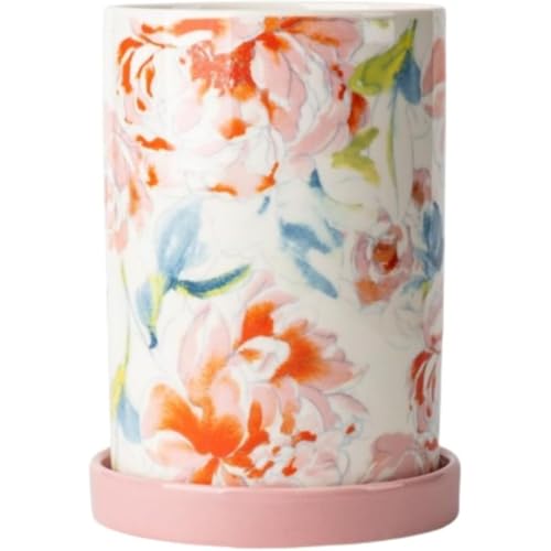 AKILERjJg[X^hEXv[EtH[N[퐻aĐ؂Lb`X^hLb`H[䏊[bNtԕrHXVƂ̑蕨ꏬ[ (D)