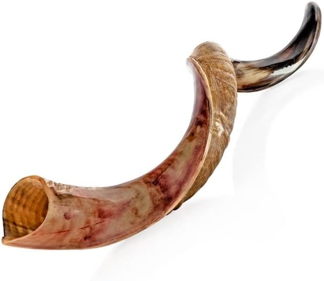 holy voice kosher kudu shofar horn from israel 39”-41” – traditional half polished yemenite shofar easy blowing ancient jewish musical instrument 39"-41"
