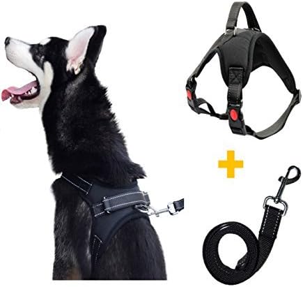 Pawya No Pull Heavy Duty No Choke Dog Harness & Leash Set for All Breed, Reflective and Adjustable, with Handle for More Control,Perfect for Training, Walking, Hiking (Large, Black)
