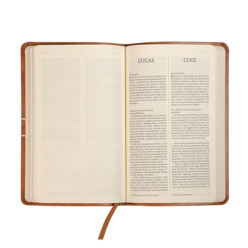 Os Evangelhos, Edição Bilíngue, Português/Inglês, NVI/NIV, com palavras de Jesus em azul, Capa flexí