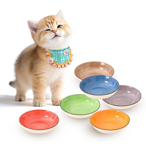 Futternapf Katze Keramik Katzennapf Set - 6 Stück Mehrfarbige Katzennäpfe - Katzen Fressnapf mit Wirbelmuster - Katzenschüssel - Katzenfutter Napf - Katzenteller Flach - 250 ml