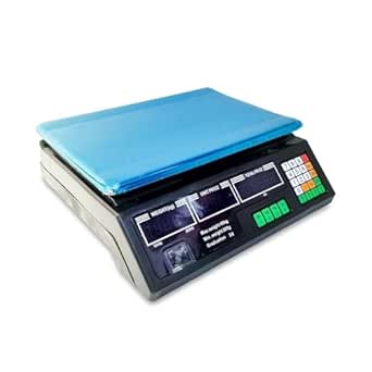 Electronic Price Computing Scale, Digital Price, Stainless Steel ...