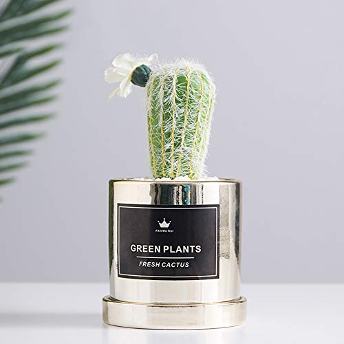 Fleurs et plantes artificielles vertes avec pot en céramique pour bureau