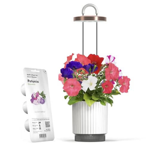 Vaso Smart Autoirrigante con Luce per la Crescita, Kit Mini Serra da Interno con Capsule di Petunia Click&Grow, Hydrovase Smart Garden