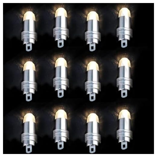 Acmee Non-Blinking LED Mini Lights Battery Operated Small LED Lights for Balloon Paper Lantern Party Decoration (Warm White, Pack of 12)