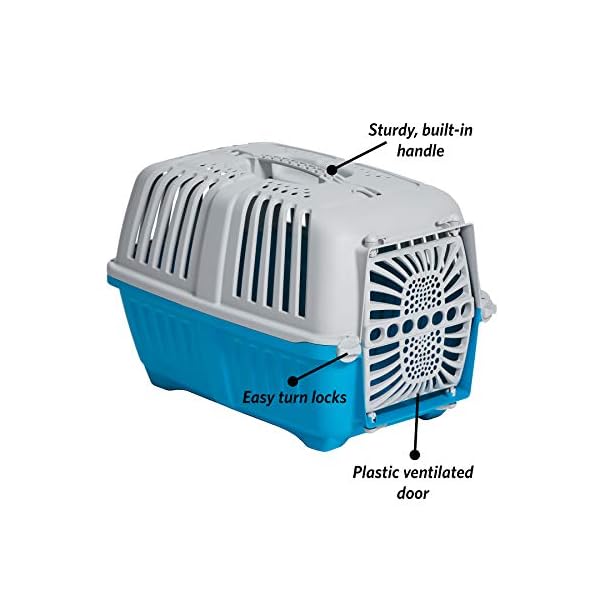 Pet Carriers for Extra Small Dogs