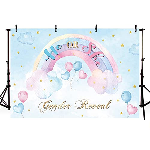 AIBIIN 2,1 x 1,5 m He Or She Gender Reveal Sfondo