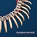 Splendid Heritage: Perspectives on American Indian Arts