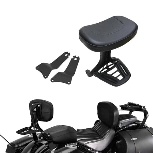 Appui-dos passager de moto Touring 2009-2013 pour le voyage au long cours