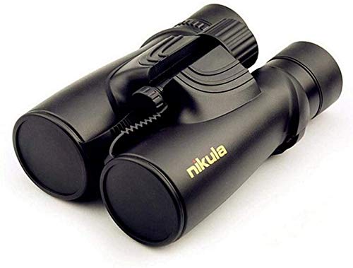 Binoculares HD 10x42 impermeables con prisma Roof miniatura 1