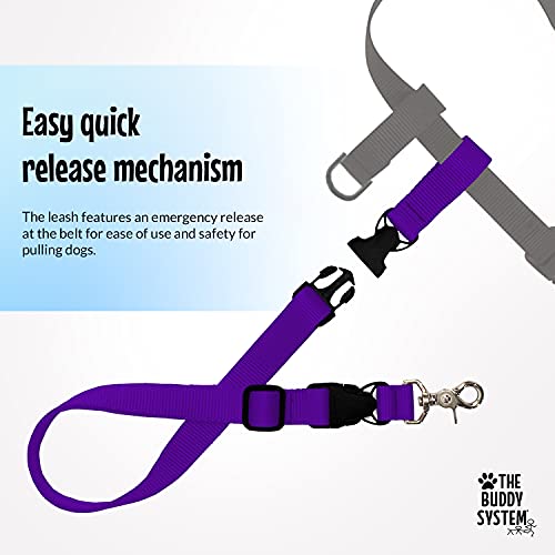 Laisse mains libres Buddy System XL violette pour la course à pied - 6