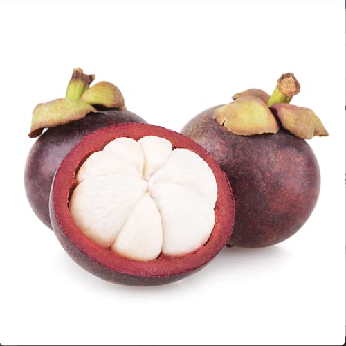 Yegaol Garden 90Pcs Mangosteen Seeds Sweet Organic Evergreen Gmo Free Tropical Fruit Seeds Garden Backyard Outdoor #TOP1