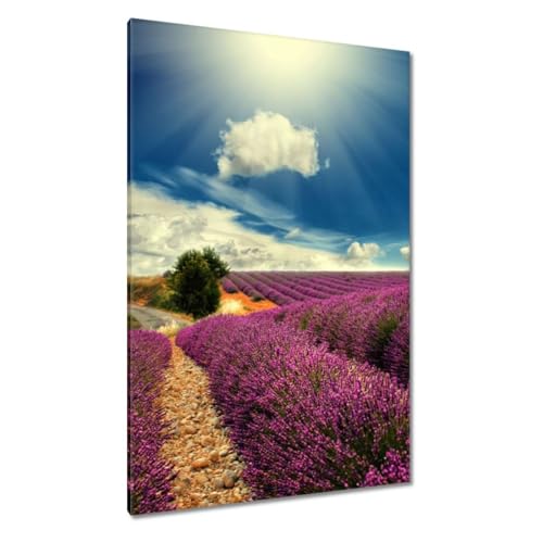 Tableau lavande 80 x 120 cm pour salon - Toile murale paysage nature