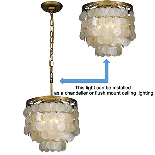 ALOADECOR 3-Light Coastal Capiz Natural Seashell Chandelier Lighting Unique 3 Tiers Ceiling Light Antique Brass Electroplate Flush Mount Interior Decor Pendant Light Fixture W13.75 inch (Gold) - Image 4