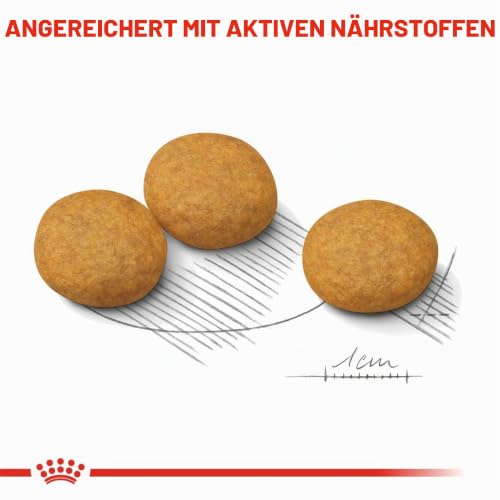 Dermacomfort Medium | Trockenfutter für Hunde | 3 kg | Mit Omega-3 und -6 – Ansicht 6