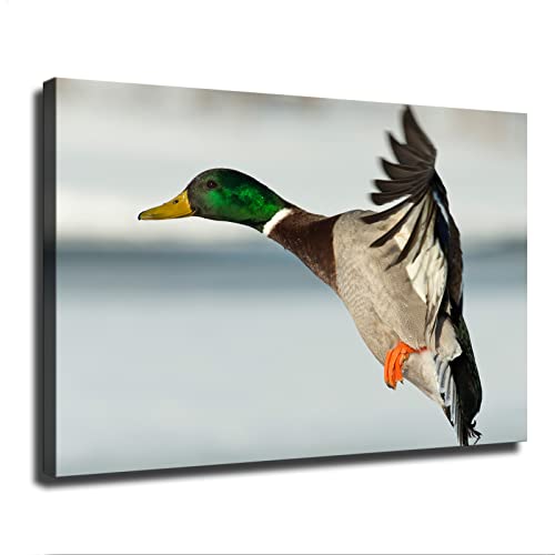 Mallard Duck Poster Home Decor Canvas Painting Hd Picture Bedroom Living Room Decor Wall Art Frameless And Framed Hanging (24X36Inch-No Framed) #TOP30