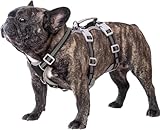 Huntboo Ausbruchsicheres Hundegeschirr, welpengeschirr, Vollständig Reflektierendes Geschirr mit Griff, Wasserdicht, Verstellbare Weste für Kleine Hunde, die Gehen, Trainieren(Schwarz, S)