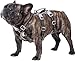 Huntboo Ausbruchsicheres Hundegeschirr, welpengeschirr, Vollständig Reflektierendes Geschirr mit Griff, Wasserdicht, Verstellbare Weste für Kleine Hunde, die Gehen, Trainieren(Schwarz, S)