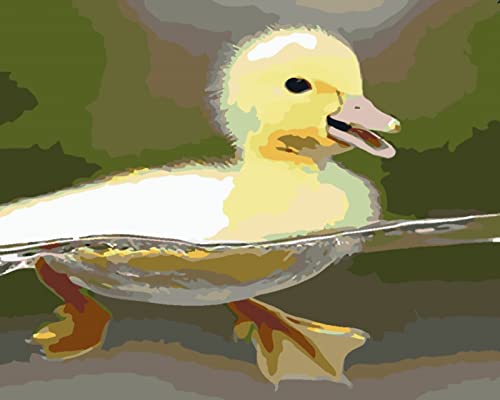 Cuadro de diamond painting 5D con diseño de pato para relajación y decoración de pared