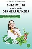 Entgiftung mit der Kraft der Heilpflanzen: Mit den Steckbriefen von 50 heimischen Heilkräutern - Dr. Ursula Harder-Haque 