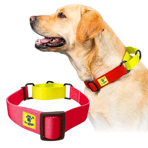 Image of A+a Pets Martingale Dog Collar | No Pull Design, No Neck Strain, No Choke Design | for Large & Medium Dogs | Rust Free, Waterproof Nylon Training Collar (Red & Yellow), 30 x 2.5 Cm