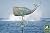 Good Directions 37" Whale Weathervane, Blue Verde Copper, Nautical, Patina